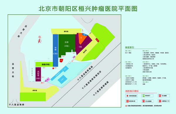 胖子搞基的网站北京市朝阳区桓兴肿瘤医院平面图